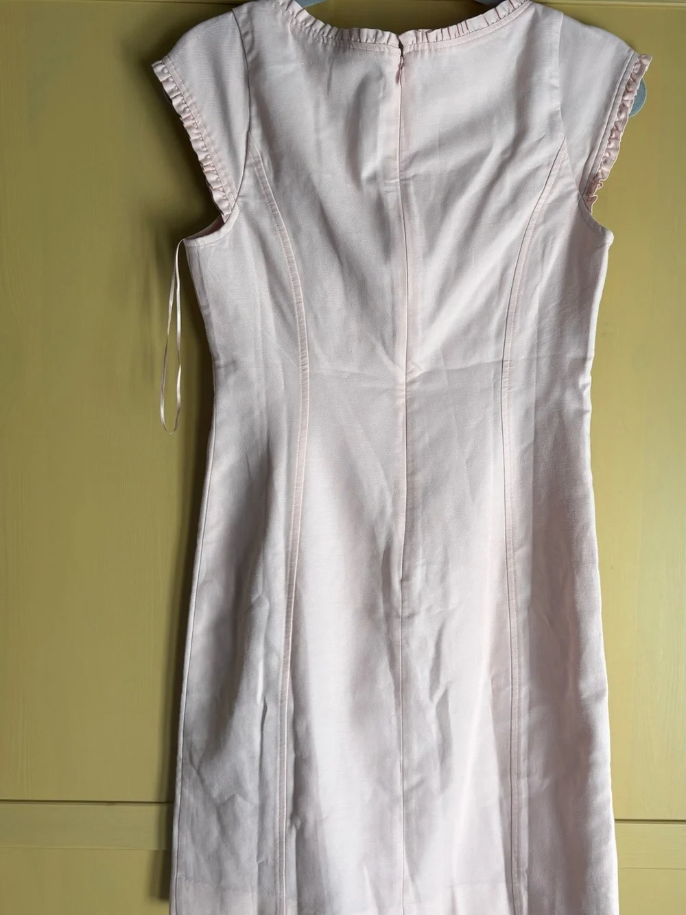 J. Crew Windy Blossom Ruffle-Trim Mini Dress